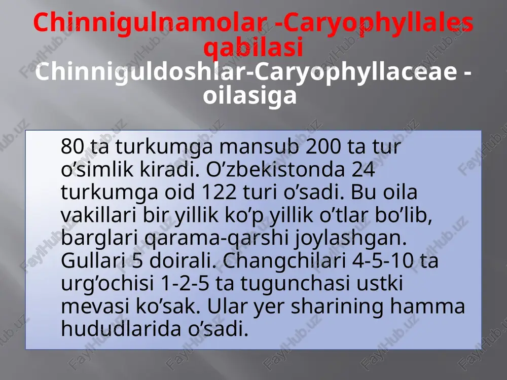 , ba'zan tagi birikib, tugunchani o’rab oladi. tugunchasi ustki, mevasi bir yoki ko’p urug’li ko’sakcha. bu oila vakillari tropik va subtropik mamlakatlarda keng tarqalgan. peruda gultojixo’rozlar donli ekin sifatida ekiladi qayrilgan tojiho’roz (machin) -amaranthus retraflekus. bir yillik begona o’t sifatida ekinlar orasida o’sadi. bo’yi 20-75 sm. poyasi va bargi kulrang-yashil, mayda tukli. iyn-iyul oylarida gullab, iyul-oktybrda urug’laydi. gultojixo’roz - celosia cristata manzarali o’simlik sifatida o’stiriladi. qizil machin-amaranthus marahandatus. evropa va aqshda hozir o’zbekistonda ham yem - hashak sifatida ekiladi. machinlar juda syerpusht bo’lib, bir tup o’simlik 500000 - 1000000 tagacha urug’ beradi. semizo’tdoshlar-portulacaceae – oilasiga ko’p yillik va bir yillik o’t o’simliklar kiradi. ularning barglari oddiy, etli va sersuv bo’ladi. gullari ikki jinsli, gulkosachasi ikki bo’lakchali, gultoji 5 ta, ba'zan 4 - 9 ta, erkin yoki tutashgan, changchilari gultojibarg soniga teng yoki cheksiz, urug’chisi bitta, tugunchasi ustki. mevasi ko’p urug’li ko’sakcha. bu oilaga 20 turkumga oid 500 ga yaqin tur …
