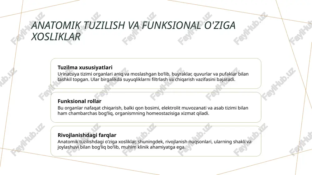 siydik ayiruv a’zolarining rivojlanish nuqsonlari - Page 4