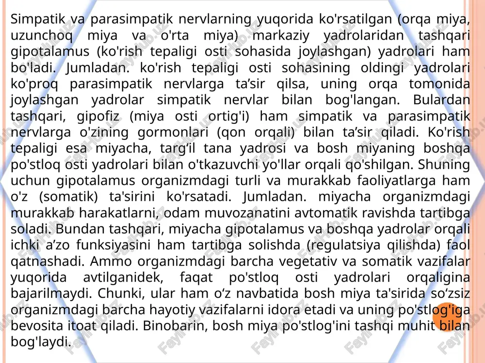 klardan ajralgan parasimpatik tolalar sc - ii - sc - iv segmentlarining oldingi ildizlari tarkibida yo'naladi. bu tolalar chanoq bo'shlig'i sohasida nerv tolalarini hosil qilib, s-simon ichak, to'g'ri ichak, siydik pufagi, ichki va tashqi jinsiy a’zolarni parasimpatik innervatsiyalaydi. simpatik nerv tizimi yon shoxlarining o'zaklaridan ajragan nerv tolalari, oldingi ildizlar tarkibida umurtqa pog'onasi kanalidan chiqadi. umurtqa pog'onasidan tashqaridagi tolalar umurtqa pog'onasining ikki yonida simpatik tugunlar tizimchasini hosil etishda qatnashadi. bu tizimchasi simpatik nerv tugunlar orasidagi qo'shuvchi nerv tolalardan hosil bo'ladi. simpatik tugunlar umurtqa pog‘onasining ikki yon tomonida joylashib, bo‘yin, ko'krak, bel, dumg'aza sohalariga bo'linadi. bo'yin sohasida 3 ta yuqorigi, o'rta va ostki, ko'krak sohasida 10-12 ta, bel sohada 3-4 tugun bo'ladi. dumg'aza yoki chanoq sohalarida esa 4 ta tugun joylashadi. simpatik nerv tolalarining tarqalishi: 1. tugundan chiquvchi postganglionar tolalar - orqa miya nerv tolalariga qo'shilib, ko'ndalang-targ'il mushaklarga yetib boradi. 2. tugundan chiquvchi postganglionar tolalar o'z yaqinidagi arteriyalar devorida simpatik tolalar chigalini …