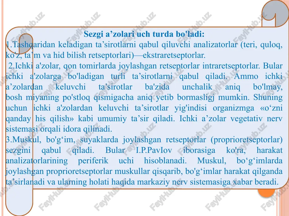 oz bo'rtgan bo'lib, unga ko'rish nervi so'rg'ichi deyiladi. unda kolbacha va tayoqcha bo'lmaydi, shuning uchun u «ko‘r dog'» deb ataladi. uning tashqi tomonida ko'zning eng o'tkir ko'rish nuqtasi - sariq dog' bo'lib, bu dog' markazida tirik odamda chuqurcha ko'rinadi. sariq dog' aylanasi (2 mm) kolbachalardan tuzilgan, uzoqlashish sodir bo'lsa, kolbachalar kamayib, o‘rnini tayoqchalar qoplaydi. to'r parda ko'rish qismining old tomonida tayoqchalar bo'ladi. to'r pardada hammasi bo'lib 110-125 mln tayoqcha va 6-8 mln kolbacha uchraydi. ko'z gavhari, shox parda va shishasimon tana oralig'ida ko'z soqqasining suyuqlik saqlaydigan bo'shliqlari (kameralar) bo'ladi. oldingi kamera shox parda bilan rangdorparda oralig'ida bo'lsa, ko'z soqqasining orqa kamerasi rangdor parda bilan ko'z gavhari oralig'ida joylashgan. ikkala kamera qorachiq teshigi orqali o'zaro qo'shilib turadi. bulardan tashqari, fontan bo'shlig'i orqali suyuqlik ko'z soqqasining old kamerasidan oq pardaning vena sinusiga, kanaldan esa vena tomiriga quyiladi. ko'z soqqasining orqa kamerasi kipriksimon tana kamerasi oralig'idagi bo'shliqni, ko'z gavhari atrofida joylashgan aylanma petit …