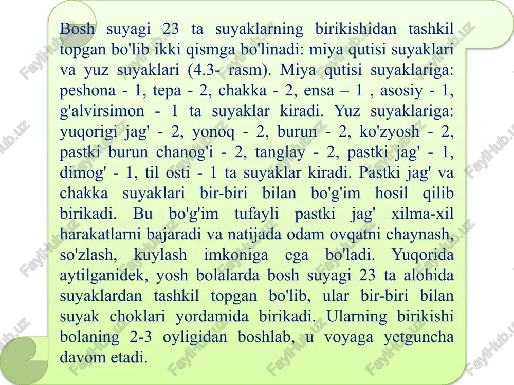 itale, ) kallaning miya qismining orqa pastki sohasini hosil qiladi. unda asosiy, yon qismlari va serbar qismi tafovut qilinadi. bu qismlar o'zaro birikib, kalla bo‘shlig‘ini umurtqa kanali bilan qo'shuvchi katta teshikni hosil qiladi. asosiy qismi katta teshikni old tomonida joylashgan bo'lib, 18—20 yoshlarda ponasimon suyak tanasiga qo'shilib ketadi. uning miya yuzasi tarnov shaklida bo'lib, ponasimon suyak tanasi bilan birgalikda yuza nishabni hosil qiladi. uning lateral chekkasida pastki toshsimon vena egati, pastki yuzasida halqum bo'rtig'i ko'rinib turadi ensa suyagi (os occipitale). tashqi yuzasi. ensa suyagining taraqqiyoti uzoq vaqt davom etib, bolalikning birinchi davrida (4 yoshda) serbar va yon qismlari o'zaro qo'shilsa, asosiy qismi yon qismlari bilan bolalikning ikkinchi davrida (6—10 yoshlarda) qo'shiladi. suyakning o'sishi o'smirlik davrida (20 yoshda) tugaydi. tepa suyagi (os parietale), bir juft suyak bo'lib, kalla qopqog'i yuqori yon qismlarini tashkil qiladi. tepa suyagi endesmal yo’l bilan suyaklanadi. yangi tug'ilgan chaqaloqning tepa suyagi to'rtburchak shaklida, chekkalari tekis, burchaklari yumaloq …