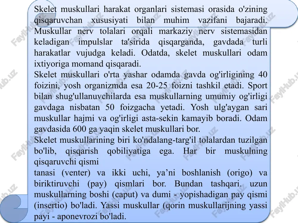 ikki patli muskul.1 - venter; 2 - tendo. ikki boshli muskul. 1 — tendo; 2 caput; 3 -venter;- tendo. ikki qorinli muskul. ko‘p qorinli muskul.1 — venter; 2 - tendo; 3 venter. bosh muskullari ikki gruppaga: mimika muskullari va chaynov muskullariga mimika muskullari ham o`z navbatida bosh mimika muskullari va yuz mimika muskullariga bo`linadi. mimika muskullari tananing boshqa sohasi muskullaridan o`zining kelib chiqishi, birikishi va faoliyati bilan farq qiladi. ular teri ostida yuza joylashib fassiyalar bilan qoplanmaydi, suyaklardan boshlanib teriga birikadi. shuning uchun ularning qisqarishi terini harakatga keltirib, odamning hissiyotini ifodalaydi. joylashgan joyiga qarab mimika muskullari kalla gumbazi muskullari, ko`z yorig`ini o`ragan muskullar, burun teshigini o`ragan muskullar, og`iz yorig`ini o`ragan muskullar va quloq suyagini o`ragan muskullarga bo`linadi.kalla gumbazini ust tamonidan ensa-peshona muskuli qoplagan. u peshona qorinchasi, ensa qorinchasi va ularni o`zaro qo`shib turgan pay qalpoqdan iborat. takabburlar muskuli - burun suyagining tashqi yuzasidan boshlanib, yuqoriga yo`naladi va peshona terisiga birikadi. …