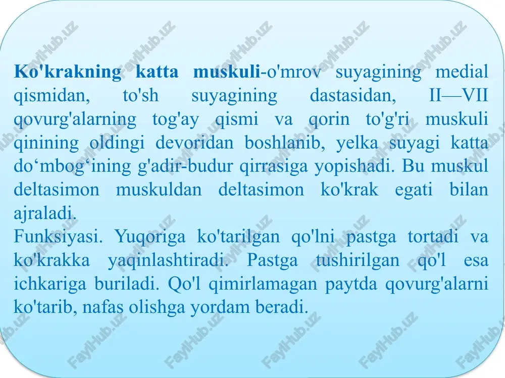 huqur muskullari uch: yuza, o`rta va chuqur qavat bo`lib joylashadi. yuza qavatda: bo`yin va boshning tasmasimon muskullari — pastki beshta bo`yin va yuqorigi oltita ko`krak umurtqalarining qirrali o`siqlaridan boshlanadi. umurtqa pag`onasini tiklovchi muskullar dumg`azaning orqa sohasidan, bel umurtqalarining ko`ndalang o`siqlaridan boshlanadi. uzun muskullar - barcha ko`krak va uchta pastki bo`yin umurtqalarining ko`ndalang o`siqlaridan boshlanib, barcha ko`krak va yuqori bo`yin umurtqalarning ko`ndalang o`siqlariga, ii-xi qovurg`alarini bosh qismiga yopishadi. qirrali muskul - yuqori ikkita bel va pastki ikkita ko`krak umurtqalarning qirrali o`siqlaridan boshlanib, ii-vii ko`krak ii-v bo`yin umurtqalarining qirrali o`siqlariga va ensa suyagiga yopishadi. o`rta qavatda: ko`ndalang qirrali muskul umurtqalarning ko`ndalang va o`tkir qirrali o`siqlari o`rtasidagi egatda bir necha qavat bo`lib joylashgan. yuqoridagi umurtqalarning qirrali o`siqlariga birikadi. ko’krak –qorin to’sig’ini hosil etuvchi anatamik hosila, mushaklar fassiya va serroz pardalardan tashkil topadi.diafragmaning markaz qismi serbar paydan tashkil topgan bo’lib, ko’krak qafasi bo’shlig’iga qarab chiqqan bo’ladi. diafragmaning tashqi sohalari, mushak to’qimasidan hosil bo’lib joylashgan …