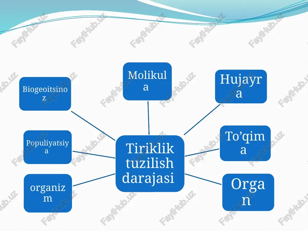 biologiyafanigakirishtarixi - Page 4