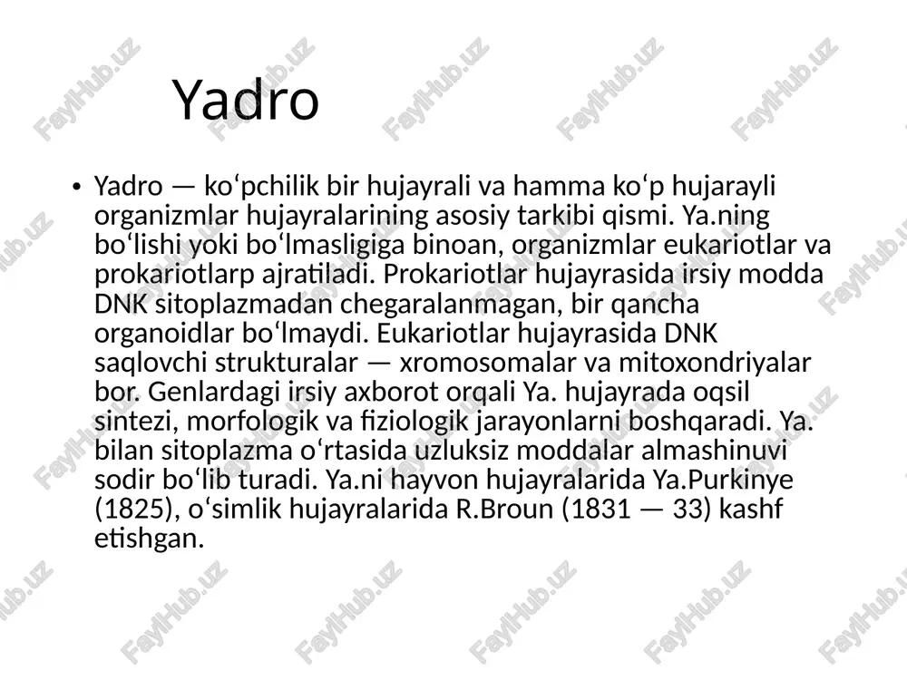 yadro - Page 4