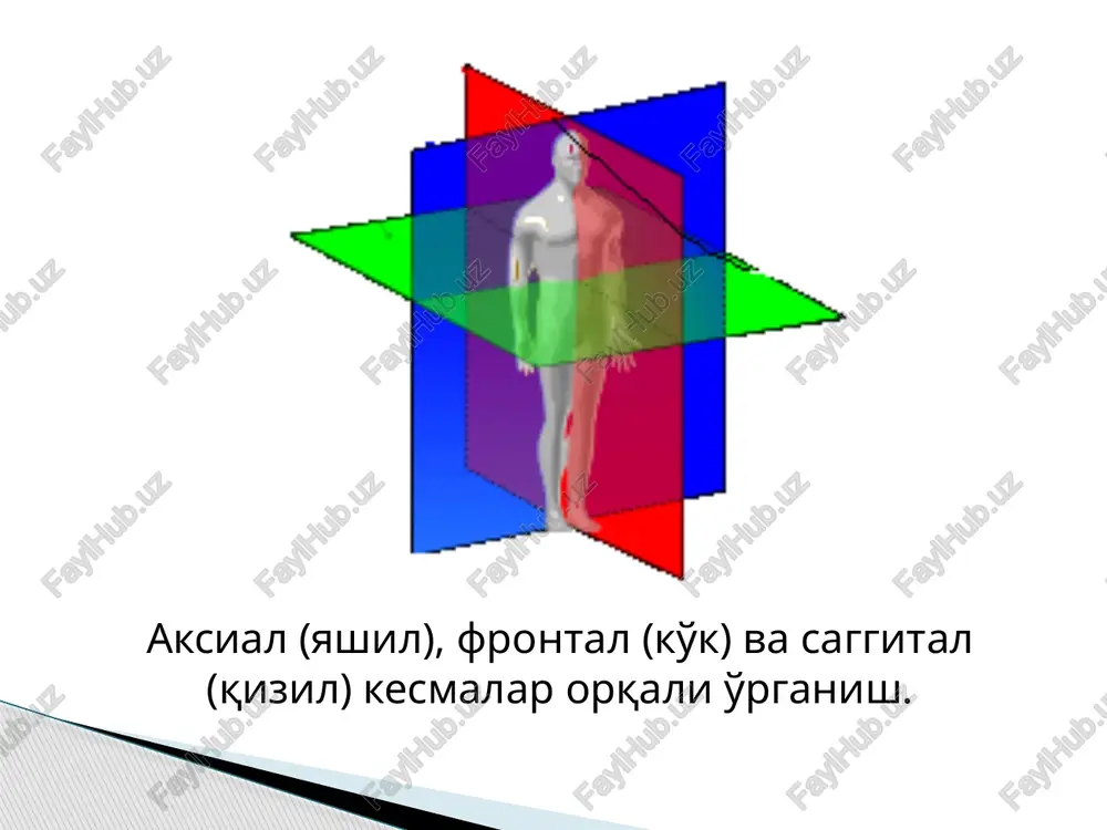 , yuqumli kasalliklarga taalluqli bilimlar bayon etilgan. ibn sino turli yuqumli kasalliklarning kelib chiqishi va tarqalishida ifloslangan suv va havoning roli katta ekanini uqtirib, suvni qaynatib yoki filtrlab iste'mol qilishni tavsiya etgan. u tashqi muhitdagi turli tabiiy narsalar, havo, suv orqali kasallik tarqatuvchi ko'zga ko'rinmaydigan mikoblar haqidagi fikrni aytgan. bundan tashqari, erazistrat, ruf, klavdiy galen, mondino da lyutsii, leonardo da vinchi, andrey vezaliy, vilyam garvey, miguel servet, gabriel fallopiy, b.evstaxiy, m.i.shein, a.m.shumlyanskiy, k.f.volf, p.purkine, k.ber, t.shvan, n. pirogov, v.bets, v.shevkunenko, v.tonkov, v.vorobyov, x.z.zoxidov, s.a.dolimov, k.a.zufarov, j.k.hamidov, n.k.ahmedov, n.x.shomirzaev va boshqa bir qator olimlar o'zlarining qator ilmiy tadqiqot ishlari bilan mazkur fanning rivojlanishiga katta hissa qo'shganlar (qodirov, 2003). e`tiboringiz uchun tashakkur!!! eramizdan oldingi 300 yillarda harakatchan va sezuvchi nevlarni aniqlagan olim qaysi? gerofil arastu gippokrat “anatomiya targ`iboti” kimning asari? bxaskara bxatshe pifagor abu ali ibn sino qaysi olim qon tomirlarida xavo emas qon oqishini birinchi bo`lib aniqlagan? jolinus hakim abu ali …