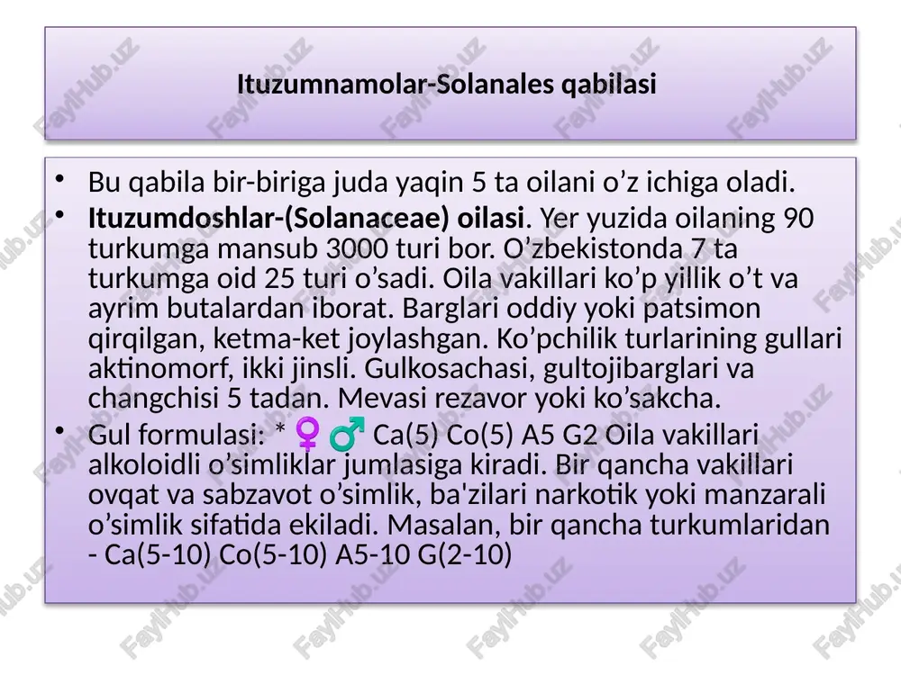 mlik. karnaygul (iromoea purpurea) - poyasi uzun, ilashib o’suvchi, manzarali bir yillik o’simlik. zarpechakdoshlar -cuccutaceae oilasi bu oilaga bitta turkum 170 ta tur kiradi. tropik va subtropik hududlarda keng tarqalgan. o’zbekistonda 18 turi uchraydi. poyalari o’ralib o’suvchi - xlorofilsiz, ya'ni parazit o’simlik hisoblanadi. barglari reduktsiyalangan, tangasimon. poyalari yashil o’simlikka o’ralgan joyida gaustoriyalar bilan yopishgan bo’lib, xo’jayin o’simlikdan oziqlanadi. gullari juda mayda, aktinomorf, ikki jinsli. gulkosa 5 ta gulkosabargchasiga ega. mevasi ko’sakcha. urug’lari ko’p yillar davomida unib chiqishi qobiliyatini yo’qotmaydi. gul formulasi: * ♀♂ ca(5) co(5) a(5) g(2) zarpechak - cuscuta approximata. hamma o’simliklarda parazit bo’lib yashaydi. devpechak (c.lehmanniana) - madaniy va yovvoyi o’simliklarda parazitlik qiladi. buta va daraxtlarda ham yashaydi. govzabonnamolar –boraginales bu qabilaga 7 ta oila kiradi. govzabondoshlar -boraginaceae oilasi bu oilaga 100 ta turkumga yaqin 2000 ta tur kiradi.yer yuzining hamma joyida uchraydi. o’zbekistonda 32 turkumga mansub 120 turi uchraydi. bu oila vakillari bir yillik yoki ko’p yillik …