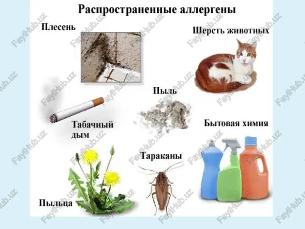 a iz povsednevnogo ratsiona - ispolzuyte gipoallergennie: kosmetiku, stiralnie poroshki i dezinfektanti - ne ispolzuyte duxi, dezodoranti, osvejiteli vozduxa, aromaticheskie svechi - ispolzuyte antiallergennie podushki i odeyala - ogranichte obshenie s domashnimi jivotnimi, ribkami - zakalyaytes - svoevremenno lechite respiratornie zabolevaniya - staraytes, chtobi v vashem dome bilo kak mojno menshe kovrov i myagkix igrushek - umenshite kolichestvo komnatnix rasteniy - zamenite tyajelie plotnie shtori legko stirayushimisya - uberite vse knigi v zasteklennie polki. spasibo za vnimanie image1.jpeg image2.jpeg image3.jpeg image4.jpeg image5.jpeg image6.jpeg