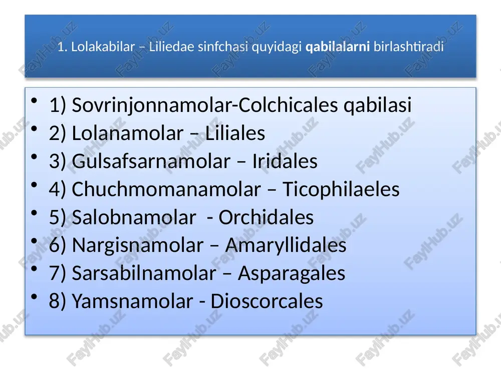 changchilari - 6 ta. urug’chisi - 1 ta, mevasi – ko’sakcha. piyoz eng ko’p iste'mol qilinadigan asosiy o’simliklardan biridir. osh piyoz, sarimsoq piyoz, anzur piyoz, oshanin piyozi, qirqbqrg piyoz, chochqaquloq piyoz turlari o`bekistonda o`sadi nargisdoshlar oilasi - amaryllidaceae . oila vakillari tropik va subtropik mintaqalarda keng tarqalgan. oilaga 65 turkum, 900 tur kiradi. o’zbekistonda 3 ta turkumga oid 5 turi o’sadi. asosan, ko’p yillik o’tlar kiradi. barglari nashtarsimon, ildiz bo’g’zida joylashadi. gullari 2 jinsli, aktinomorf. mevasi – ko’sakcha. turkumlari: omonqora, nartsiss, shtyernbyergiya. soxta (sariq) va nafis (oq) nartsiss turlari mavjud bo’lib, har ikkala tur ko’p yillik, piyozli manzarali o’simlik hisoblanadi. aprel oyida gullaydi. oq narsiss-narcissus poeticus. ko’p yillik piyozli, manzarali o’simlik. aprel oyida gullaydi. salabnamolar-orchidales qabilasi salabdoshlar -orchidaceae oilasi bu oilaga 750 turkum 20 000 tur kiradi. o’zbekistonda 5 ta turkumga oid 9 ta turi o’sadi. oila vakillari yer yuzida keng tarqalgan. ularga asosan ko’p yillik o’tlar, lianalar, butalar va …