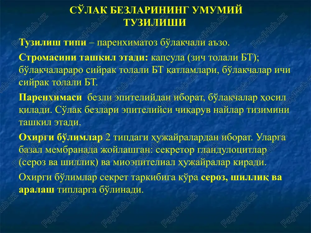 yirik so'lak bezlari - Page 4