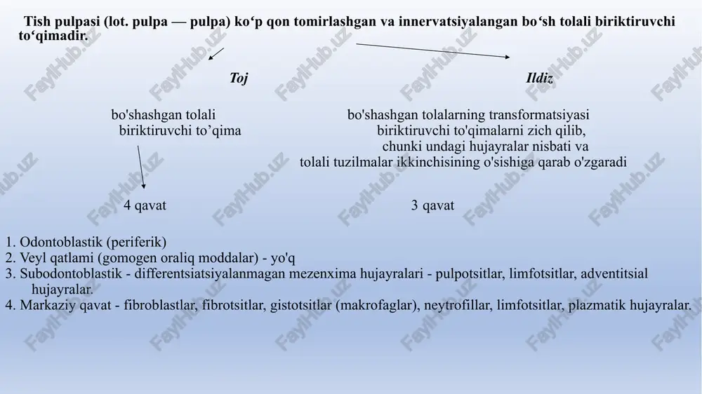 n kislotasi va glikozaminlardan iborat; odontoblastlarning uzoq jarayonlarining shishishi tufayli mikroorganizmlarni ushlab turish uchun dentin tubulasi suyuqligining xususiyatlari; dentinning asosiy moddasining zich qismining mikroorganizmlarga chidamliligi. mikroorganizmlar sog'lom dentinda saqlanadi. . pulp funksiyalari himoya - periodontga, immun tizimining hujayralariga boradigan yo'lda biologik to'siq trofik - dentin va emalning trofikasini ta'minlaydi plastmassa - dentin hosil bo'lishi, pulpaning o'zini qayta tiklash, tolali kapsulaning shakllanishi (pulpa shoxidagi dastlabki yallig'lanish bilan) nerv impulslarini emal va dentindan o'tkazishning sensor-gidrodinamik nazariyasi tish otilishida ishtirok etish pulpada yosh bo'yicha o'zgarishlari o'zgartirish turi sabablari 1. tish bo'shlig'ining hajmini kamaytirish, shaklini o'zgartirish 2. hujayralar sonining kamayishi, kollagenning ko'payishi tolalar (fibroz) 3. pulpa to'qimalarining kalsifikatsiyasi 2. a) tufayli qon aylanishining buzilishi mikrosirkulyatsiya to'shagini kamaytirish b) tufayli tish nerv apparati o'zgarishlar miyelinsiz tolalarning bir qismini yo'qotish, miyelin tolalarining degeneratsiyasi va o'limi c) kaltsiy tuzlarining cho'kishi (vitlokit fosfatlari) pulpaning patologiyasi ko’rinish namoyish shakli sababi qon tomir buzilishlar giperemiya, qon ketishi avitaminoz, paratiroid bezlarining …