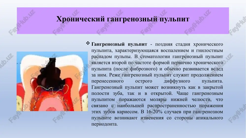 opredelyaetsya demarkatsionniy val iz granulyatsionnoy tkani. nije granulyatsionnoy tkani kornevaya chast pulpi naxoditsya v sostoyanii fibroznogo xronicheskogo vospaleniya. odontoblasti distroficheski izmeneni, kletochniy sostav kornevoy pulpi beden, opredelyayutsya uchastki gialinoza perivaskulyarnoy tkani, distroficheskie izmeneniya kollagenovix volokon. xronicheskiy gangrenozniy pulpit. koronkovaya chast pulpi predstavlena besstrukturnoy massoy v vide zernistogo raspada i mikroorganizmov. xronicheskiy fibrozniy pulpit xronicheskiy verxushechniy periodontit xronicheskiy gangrenozniy pulpit xr. gangrenozniy pulpit xr. fibrozniy r v stadii obostrenii ost. diffuzniy r ost. verxushechniy rt na rentgenogramme mogut viyavlyatsya izmeneniya v vide rasshireniya periodontalnoy sheli ili rezorbtsii kostnoy tkani s nechetkimi konturami. rentgenografiya zuba pozvolyaet obnarujit izmeneniya periapikalnix tkaney: rasshirenie periodontalnoy sheli, inogda - nebolshoy ochag destruktsii v oblasti verxushki kornya. xronicheskiy gangrenozniy pulpit sleduet differentsirovat ot srednego i glubokogo kariesa, xronicheskogo fibroznogo pulpi­ta i verxushechnogo periodontita. differentsialnaya diagnostika xronicheskogo gangrenoznogo pulpita i xronicheskogo verxushechnogo periodontita obshee: 1) inogda bessimptomnoe techenie (vne obostreniya); 2) jalobi na gnilostniy zapax iz karioznoy polosti; …