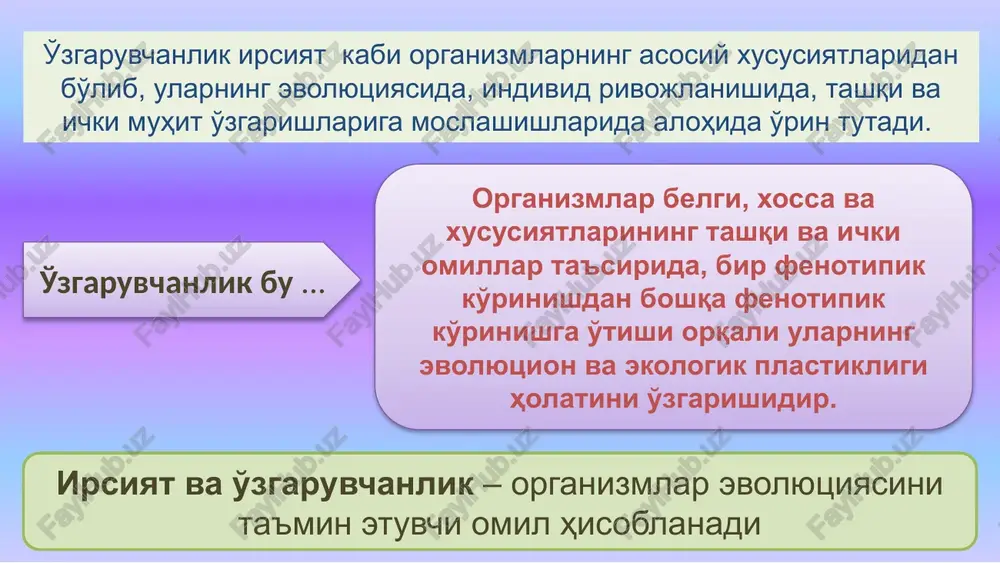 iantlardan ko'p bo'ladi. irsiy o'zgaruvchanlik o'z navbatida: kombinativ, rekombinativ va mutatsion o'zgaruvchanliklarga bo'linadi. alternativ belgili organizmlarning o'zaro chatishtirishdan olingan duragay avlodlarda allel va allel bo'lmagan genlarning kombinatsiyalanishi natijaida hosil bo'lgan o'zgaruvchanlikka aytiladi. krossingover natijasida birikkan genlarning o'zaro ajralib, yangi genotipda yig'ilishi tufayli olingan o'zgaruvchanlikka aytiladi. kombinativ o'zgaruvchanlik deb ... rekombinativ o'zgaruvchanlik deb ... mutatsion o'zgaruvchanlik... irsiy o'zgaruvchanlikning bir turi bo'lib, kelib chiqishi sababi va tabiatiga ko'ra boshqa irsiy o'zguruvchanlikdan farq qiladi. organizm genotipining to'satdan keskin o'zgarishini mutatsiya deb fanga de friz kiritdi. bevosita tashqi va ichki mutagen omillar genotipiga ta'siri hisobiga vujudga keladi. mutatsion nazariya de friz tomonidan yaratilgan, uning asosiy mohiyati quyidagilar: mutatsiyalar to'satdan paydo bo'ladi yangi mutatsiyalar turg'un irsiy o'zgaruvchan likdir irsiy bo'lmagan o'zgarishdan farqli o'laroq, mutatsiyalar uzliksiz qator hosil qilmaydi mutatsiyalar har xil yo'nalishlada ketadi. mutatsiyalar foydali va zararli bo'ladi mutatsiyalarni aniqlash ehtimoli tekshirilayotgan individlar soniga bog'liq mutatsiyalarning yangi variantlari keskin o'zgarishlarni to'satdan paydo bo'lishi yuzaga chiqadi. …