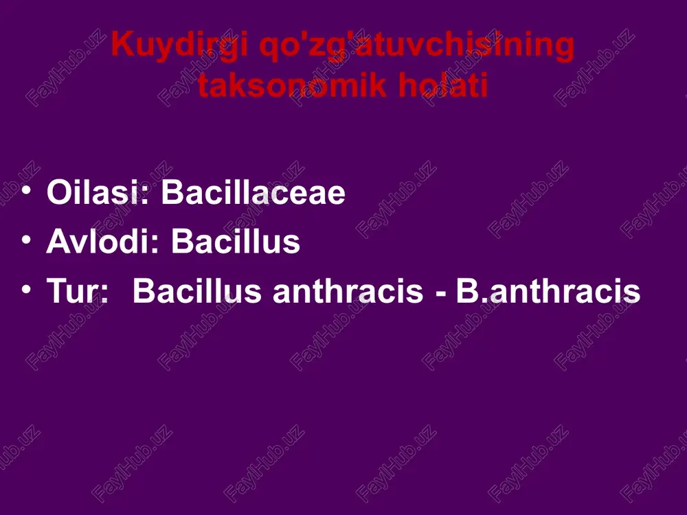a qarshi immunoglobulin bilan amalga oshiriladi antibiotik terapiyasi penitsillin guruhi, tetratsiklin, aminoglikozidlar, siprofloksatsin preparatlari bilan amalga oshiriladi. kuydirgining aktiv profilaktikasi uchun quyidagilar qo'llaniladi: b.anthracis kapsulasiz shtammi sporasi bo'lgan tirik sti vaktsinasi. vaktsina kombinatsiyalangan bo'lib, u tirik sti vaktsinasini va himoya b.anthracis antijenini o'z ichiga oladi. o’lat o’lat - o'tkir antropozoonoz yuqumli kasallik bo'lib, og'ir intoksikatsiya, septitsemiya rivojlanishi, limfa tugunlarining o'ziga xos shikastlanishi va epidemiya va pandemiya tarqalishi bilan tavsiflanadi. enterobacteriaceae oilasi yersinia avlodi yersinia pestis insoniyat tarixida uchta ulkan o`lat pandemiyasi o`rin olgan . 1. «yustinian vabosi», misrda boshlanib o'rta er dengizining deyarli barcha mamlakatlarini vayron qildi va taxminan 60 yil davom etdi. 542-yilda epidemiya avjiga chiqqanida, birgina konstantinopolda har kuni minglab odamlar halok bo'ldi. 2. «qora o'lat» 14-asr oʻrtalari evropada osiyodan kelgan "qora o'lim" aholining uchdan bir qismini halok qildi. 1346-1348 yillarda bubonli o`lat avj oldi, 25 million kishi uning qurboni bo'ldi. o'rta asrlarda g'arbiy evropada barcha axlatlar, oziq-ovqat …