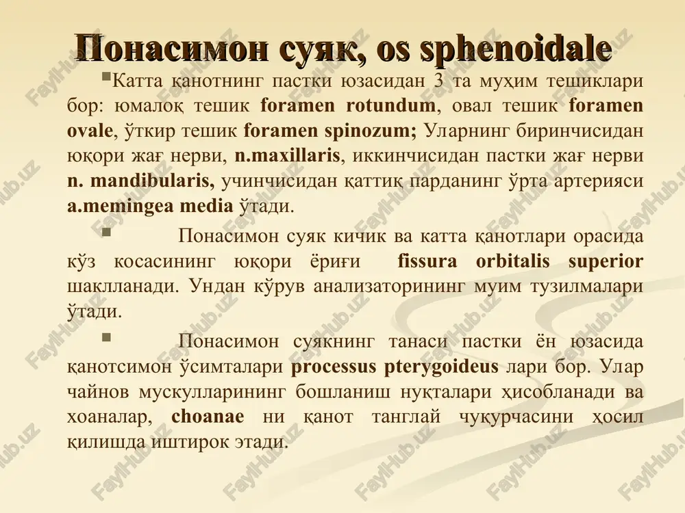 ma'ruza №6.ponasimon va chakka suyaklari - Page 4