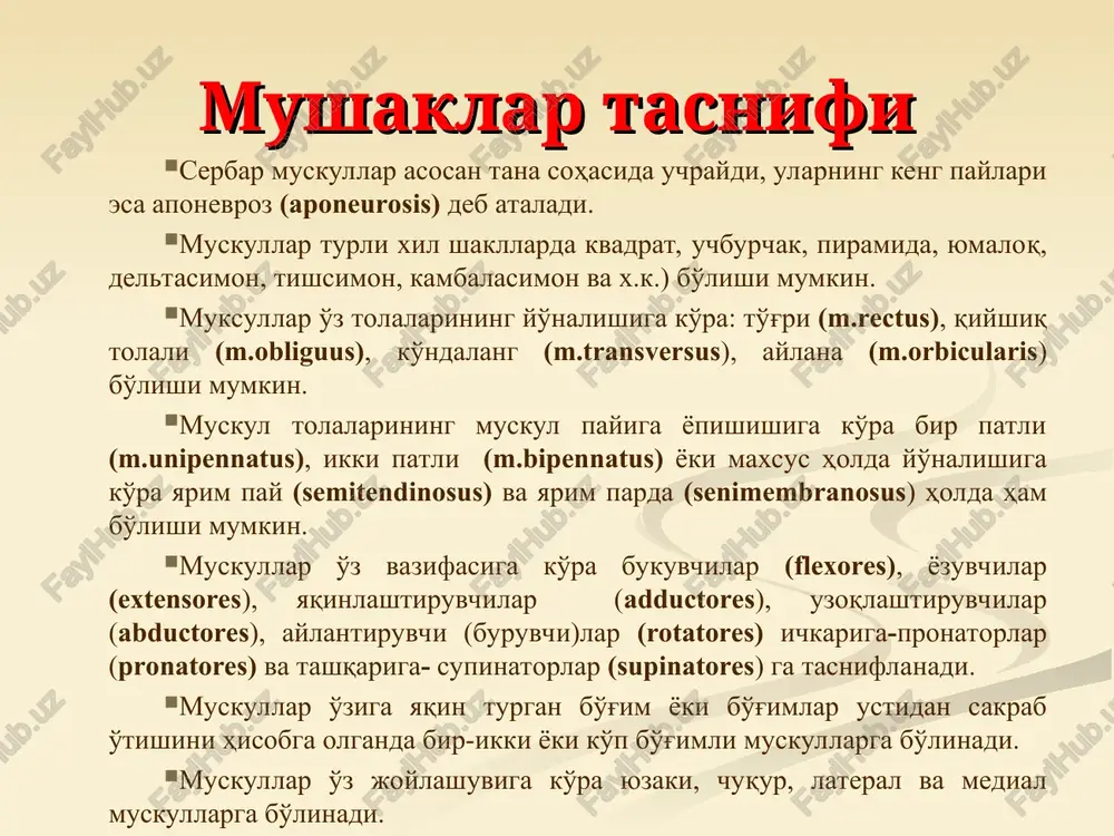 uni umurtqa pog’onasiga yaqinlashtiradi; kurak qimirlamay turganda boshni o’z tomoniga egadi 4. katta va kichik rombsimon mushaklar ko’pincha bir-biriga qo’shilib ketadi. boshlanishi: vii bo’yin va yuqorigi ko’krak umurtqalarining qirrali o’simtalari birlashishi: kurakning medial qirasi vazifasi: kurakni ko’taradi uni umurtqa pog’onasiga yaqinlashtiradi orqaning yuza muskullari. ii. orqaning qovurg'alarga yopishuvchi muskullari. bu muskullar orqaning uchinchi qavat muskullari hisoblanadi. 1.m.serratus posterior superior, yuqori-orqa tishli muskul, rombsimon muskul ostida yotadi va siv-svii va thi-thii umurtqalar o'tkir o'simtalaridan boshlanadi, pastga va lateral tomonga yo'nalib ii-v qovurg'alarda tugaydi. 2. m.serratus posterior inferior pastki orqa tishli muskul, pastki ko'krak va yuqori bel umurtqalarining o'tkir o'siqliridan boshlanib, ix-xii qovurg'alarga berib yopishadi. vazifasi: pastki qovurg'alarni pastga tortadi. 5. orqaning yuqorigi tishsimon mushagi rombsimon mushaklar ostida joylashadi. boshlanishi: vi-vii bo’yin va i-ii ko’krak umurtqalarining qirrali o’simtalari. birlashishi: ii-vii qovurg’alarning orqa yuzasi. vazifasi: qovurg’alarni ko’taradi 6. orqaning pastki tishsimon mushagi orqaning serbar mushagi ostida joylashadi. boshlanishi: xi-xii ko’krak va i-ii bel …