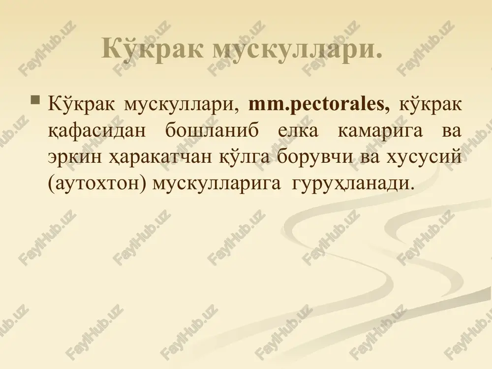 rgani uchburchagi deyiladi. bunday uchburchaklar qovurg'a va bel qismlari oraliqlarida ham(trigonum lumbocostale) mavjud bo'lib, ular boxdalek uchburchaklari deyiladi. diafragmaning o'ng-orqaroq tomonida foramen venae cavae bo'lib, undan pastki kovak vena o'tadi. vazifasi: nafas muskullaridan biri hisoblanadi. 5. diafragma qorin muskullari. qorin muskullari yon, oldingi va orqa guruh muskullariga bo'linadi. qorinning yon guruh muskullari, bir birining ustida yotuvchi serbar muskullardir. ularning aponevrozlari birgalikda qorinning to'g'ri muskuli qinini va qorinning oq chizig'ini hosil qiladi. 1.m.obliquus externus abdominis – qorininng tashqi qiyshiq muskuli. qorin yon devorining eng yuza muskulidir. bu muskul ko'krak qafasining yon yuzasidan pastki 8 ta qovurg'adan 8 ta tish hosil qilib boshlanadi. uning tolalari yuqoridan pastga va medial tomonga yo'naladi. qorin tashqi qiyshiq muskulining orqa tutamlari yonbosh suyagi qirrasiga yopishadi. qolgan qismi esa keng aponevrozga aylanadi. muskul aponevrozi qarama-qarshi muskul aponevrozi bilan bitishib ketadi. 1. qorinning tsahqi qiyshiq mushagi qorin muskullari. qorinning tashqi qiyshiq muskulining aponevrozi yonbosh suyagidagi spina iliaca anterior …