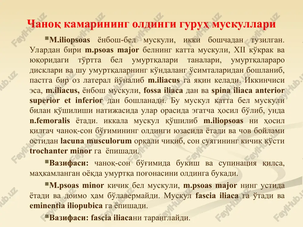 ushagining ostida yotadi(1). son suyagi katta ko’stiga birlashadi (4). sonni uzoqlashtiradi, oldingi tolalari sonni ichkariga buradi, orqa tolalari tashqariga buradi. 1 2 3 4 5 5 – napryagatel shirokoy fastsii bedra dumbaning kichik mushagi(1). dumbaning o`rta mushagining ostida yotadi(2). 1 2 3 3 4 5 sonning kvadrat mushagi(8). qo’ymich bo’rtig’idan boshlanadi(6). son suyagi katta ko’stiga birlashadi(7). sonni tashqariga buradi. 1 1 2 3 4 5 6 7 8 yuqorigi(1) va pastki(2) egizak mushaklar. qo`ymich o’simtasi va bo’rtig’idan boshlanadi. ko’st chuqurchasiga birlashadi. sonni tashqariga buradi. 1 2 3 4 5 6 7 8 9 10 11 sonning serbar fassiyasini taranglovchi mushak(1). chanoq suyagi oldingi yuqorigi qirrali o’simtasidan boshlanadi(2). sonning serbar fassiyasiga birlashib ketadi(3). sonni bukadi, sonni serbar fassiyasini taranglashtiradi. 1 2 3 son mushaklari oldingi guruh orqa guruh medial guruh son muskullari son muskullar uzun suyaklardan iborat richaglarni harakatga keltiradi, gavda vertikal holda, g'oz yurishida ishtirok etadi. son muskullari uch guruhga …
