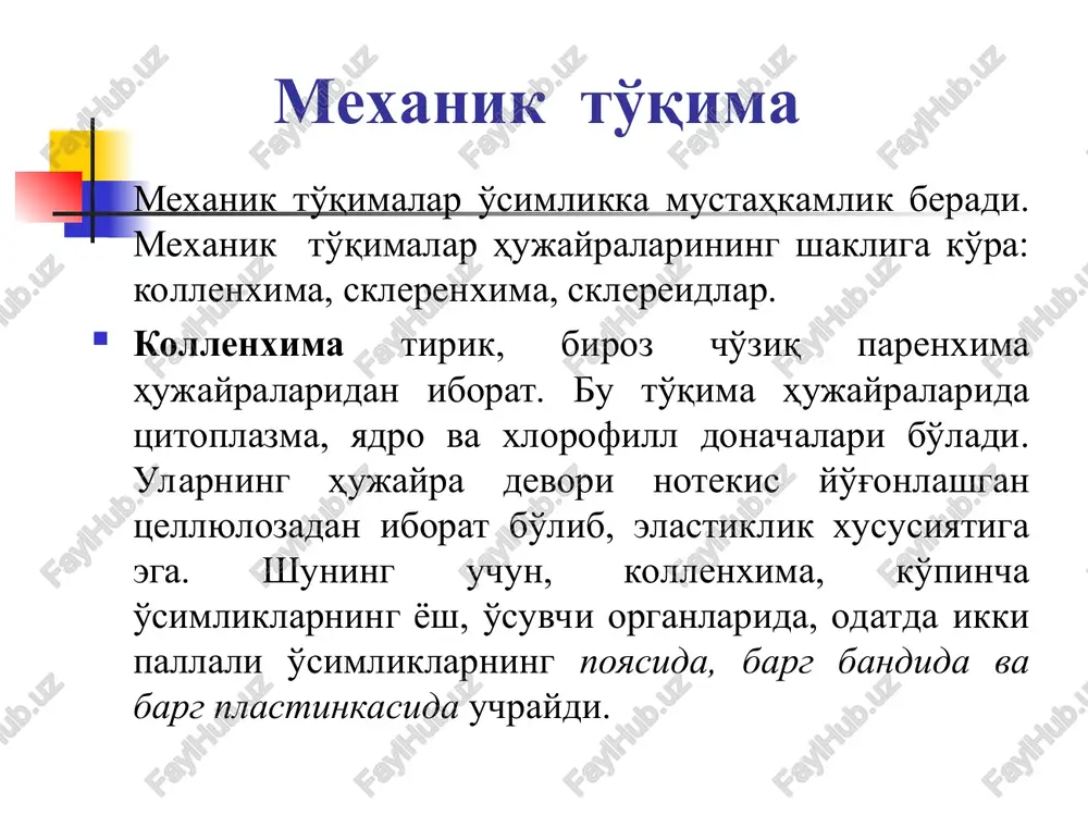 lan tanishing. yorongul - geran poyasining ko'ndalang va uzunasiga kesimidan preparat tayyorlang va sklerenxima hujayralari bilan tanishing. kuzatilgan to'qimalarning suratini chizing, ularning hujayra devorining qalinlashgan qismini ko'rsating va tavsifini yozing. ishni bajarish tartibi: nok mevasi etidan skalpelda kichik bir bo'lak kesib olib, ikki buyum oynasi orasida eziladi. bunda nok mevasining yumshoq et hujayralari (parenxima hujayralar) orasida joylashgan toshhujayralar to'plami ezilib, uni mikroskopda ko'rib tekshirish osonlashadi. ezilgan ob'ektning bir qismini buyum oynasidagi suv tomchisiga joylab, ustiga qoplag'ich oyna yopiladi va vaqtinchalik preparat tayyorlanadi. toshxujayralar atrofini shirali hujayralar parenxima hujayralari o'rab olgan. toshhujayralar yog'ochlangan po'stli qalin va qattiq, yumaloq shaklli, ko'p qirrali bo'ladi. unga vodorod xlorid ta'sirida qizaradi, chunki hujayra po'sti yog'ochlangan bo'ladi. lush green equisetum