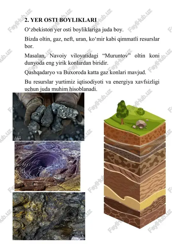 tabiiy boyliklar loyixa ishi - Page 4
