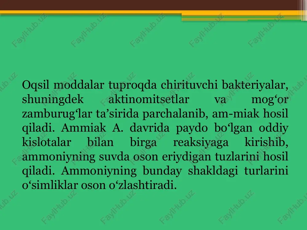 ammonifikatsiyajarayonlari - Page 4
