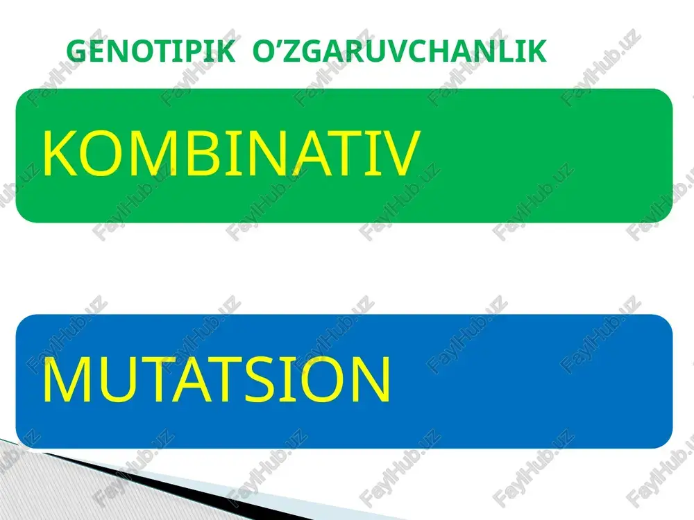 a bog‘liq bo‘lmagan o‘zgaruvchanlikdir. modifi katsion o‘zgaruvchanlik esa tashqi muhit omillari ta’sirida fenotipda namoyon bo‘ladigan o‘zgaruvchanlikdir. modifi katsion o‘zgaruvchanlik. bir xil genotipga ega organizmlarda tashqi muhit omillari ta’sirida vujudga keladigan fenotipik tafovutlar modifikatsion o‘zgaruvchanlik deb ataladi. genotip o‘zgarmaganligi uchun modifikatsion o‘zgaruvchanlik nasldan naslga berilmaydi. modifikatsion o‘zgaruvchanlik populatsiyadagi deyarli barcha organizmlarga xos ekanligi bilan tavsifl anadi. modifi katsion o‘zgaruvchanlik bo‘yicha to‘plangan ma’lumotlar nuklein kislotalardagi irsiy axborot qanday qilib fenotipda namoyon bo‘lishini tushunishga yordam beradi modifikatsion o’zgarish ontogenetik o‘zgaruvchanlik – bu ontogenez jarayonida genlarning differensial faolligi natijasida yuzaga chiqadigan, muhit ta’siriga bog‘liq bo‘lmagan o‘zgaruvchanlikdir. modifi katsion o‘zgaruvchanlik esa tashqi muhit omillari ta’sirida fenotipda namoyon bo‘ladigan o‘zgaruvchanlikdir xulosa o’zgaruvchanlik irsiylanadigan va irsiylanmaydigan xillarga bo’linadi. irsiylanadigan turi genotipik irsiylanmaydigan turi fenotipik. genotipik mutatsion va kombinativ fenotipik modifikatsion va ontogenetik turlarga bo’linadi e’tiboringiz uchun raxmat!!! _____microsoft_excel.xlsx image2.jpeg image3.png image4.emf image5.png image6.png image7.png image8.png image9.png image10.png image11.png image12.png image13.png image14.png image15.png image16.png image17.png image18.png image19.png image20.jpeg …