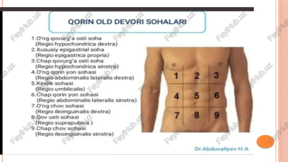 – papillae linguae til tashqi tomondan shilliq qavat bilan qoplangan va shilliq qavati so’rg’ichlar ko’pligidan g’adir-budur,dag’al bo’ladi papillae filiformis et papillae conicae - og’riq, harorat, taktil, tilning butun yuzasida topiladi. asosan old 2/3 qismida papillae fungiformis – ta’m, 150 – 200 ta,asosan tilning uchi va tanasida papillae foliate – ta’m, asosan tilning yon tomonlarida papillae vallatae – ta’m, 7-12 ta, v shaklida joylashgan til muskullari 2 xil: xususiy skelet !tilni barcha muskullari aponeurosis linguae yoki septum linguaega birikadi. xususiy muskullar m.longitudinalis superior - tilni bukadi, uchini ko’taradi, qisqartiradi m.longitudinalis inferior tilni qisqartiradi m.transversus tilni ko’ndalang diametri bo’icha qisqartiradi m.verticalis tilni yo’g’onlashtiradi skelet muskullar m.genioglossus tilni oldinga va orqaga tortadi m.hyoglossus tilni orqaga va pastga tortadi m.styloglossus tilni yuqoriga va orqaga tortadi m.palatoglossus til ildizini yuqoriga ko’taradi halqum - pharynx toq, voronkasimon organ uzunligi 12 -15 sm burun bo’shlig’idan hiqildoqqa o’tkazadi golotopiyasi: - bo’yin sohasida joylashadi skeletopiyasi: - kalla suyagi asosidan …