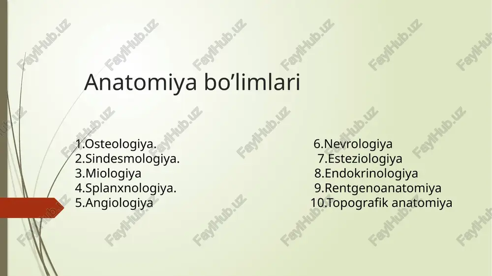 kalta, silliq va pastga yo’nalgan bo’lib, umurtqa tanasi bilan deyarli bir “uroven” da joylashadi. umurtqa tanasi loviyasimon shaklda bo’g’im o’siqlari - sagittal yuzada joylashgan. yuqorigi bo’g’im o’siqlarining bo’g’im yuzalari medial tomonga, pastki bo’g’im o’siqlarining bo’g’im yuzalari esa tashqari (lateral) tomonga qarab joylashadi dumg’aza suyagi quyidagi asosiy qismlardan tashkil topgan: dumg’aza suyagining asos qismi (basis ossis sacri) dumg’aza suyagining uchki qismi (apex ossis sacri) dumg’aza suyagining ikki yon qismi (pars lateralis) quyidagi yuzalari farqlanadi: chanoq yuzasi (facies pelvica) orqa yuzasi (facies dorsalis) basis apex pars lateralis facies pelvica – silliq va botiq facies dorsalis – g’adir budur va orqa tomonga do’m hosil qiladi toʻsh suyagi (sternum) frontal sathda joylashgan bu gʻovak suyak 3 qismdan tuzilgan: yuqorigi qismi – sopi – manibrium sterni oʻrta qismi – tanasi – corpus sterni pastki qismi – xanjarsimon oʻsimta – processus xiphoedius (ksifoedius) qovurgʻalar (costae) 12 juft qovurgʻalar (costae) farqlanib, barchasi ikki: 𝗈 1. orqa suyak …