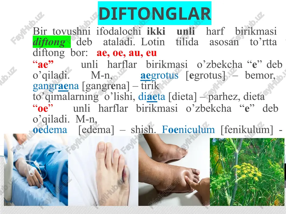 asiga ega bo’lgan ayrim yunon atamalarida urg’u i harfiga tushadi: dysenteria-ichburug’; anaemia -kamqonlik; therapia-davolash; hypertonia –qon bosimining ko’tarilishi. qisqalik qoidasi unli “br” birikmasi oldida kelsa : ver - te - bra ce - re - brum 3 2 1 3 2 1 unli unlidan oldin kelsa : o - le - um fo - ve - a 3 2 1 3 2 1 –ol , -ul ot yasovchi suffikslari : sca - pu - la al - ve - o -lus 3 2 1 4 3 2 1 –il , -it , -id , -ic sifat yasovchi suffikslari : so - lu - bi – lis flu - i - dus 4 3 2 1 3 2 1 com – po - si -tus tho - ra - ci - cus 4 3 2 1 4 3 2 1 bo’g’inlarni qisqa talaffuz etilishiga namunalar lotin alifbosida nechta harf bor? lotin …