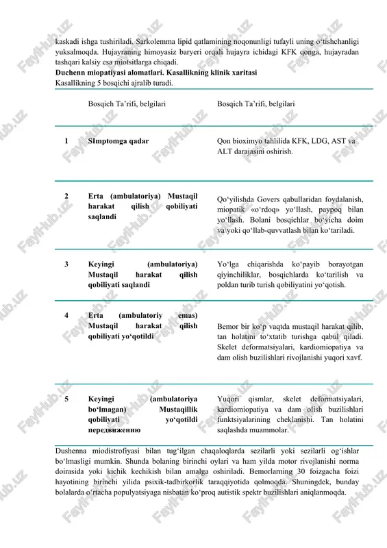 mumkin. duchenn mushak distrofiyasi sabablari etiologiya va patogenez. distrofin geni x-xromosomaning qisqa yelkasida dmd (lokus xp21.2-r21.1). bu insonning eng katta genlaridan biri, shuning uchun unda sporadik mutatsiyalar tez-tez yuzaga keladi (40% gacha). kasallikning 60 foizi odatdagi x-qisqartirilgan retsessiv meros sifatida o‘g‘il-qizlar tomonidan muraslanadi. shuning uchun biz do‘shennahning miodistrofiyasi – o‘g‘illarning kasalligi, deymiz. ayollarda 2 x-xromosoma mavjud bo‘lsa va bir xromosomada gen buzilsa, ikkinchisi distrofin ishlab chiqaradi. distrofinning yoʻqligi (duchenn mushak distrofiyasi) sarkolemma yaxlitligining buzilishiga, miyositlarning yoʻqolishiga va ularning yogʻli va biriktiruvchi toʻqimalar bilan almashinishiga olib keladi. klinik jihatdan bu jarayon mushaklarning qisqarish qobiliyatining pasayishi, mushak kuchi va tonusining yoʻqolishi, mushaklarning atrofiyasi bilan ifodalanadi. duchenn miodistrofiyasi patogenezi immunopatologik jarayonlarni ham oʻz ichiga oladi. organizmda regeneratsiya jarayoni buzilgan va tugʻilgach, deyarli darhol yalligʻlanish reaksiyasi kaskadi ishga tushiriladi. sarkolemma lipid qatlamining noqonunligi tufayli uning o‘tishchanligi yuksalmoqda. hujayraning himoyasiz baryeri orqali hujayra ichidagi kfk qonga, hujayradan tashqari kalsiy esa miotsitlarga chiqadi. duchenn miopatiyasi alomatlari. …