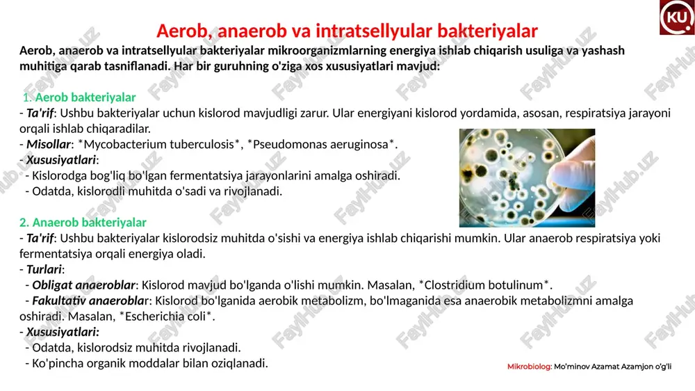 rayoni dnkning ikki zanjirli tuzilishini saqlab, yangi hujayralarda genetik ma'lumotlarni nusxalashni ta'minlaydi. mikrobiolog: mo’minov azamat azamjon o’g’li 4. genetik o'zgarishlar - mutatsiyalar: dnkning tuzilishidagi o'zgarishlar, bu bakteriyalarning yangi xususiyatlarini olishiga olib kelishi mumkin. - gorizontal gen uzatish: bakteriyalar bir-birlari bilan genetik materialni uzatish orqali yangi xususiyatlarni olishadi. buning uchta asosiy usuli mavjud: - transformatsiya: bakteriyalar muhitdan erkin dnkni qabul qiladi. - transdutsiya: viruslar bakteriyalardan birining genetik materialini olib, boshqa bakteriyaga o'tkazadi. - konjugatsiya: bakteriyalar orasida to'g'ridan-to'g'ri kontakt orqali plazmidlar uzatiladi. 5. genetik ifodalash - transkripsiya va tarjima: bakteriyalar dnk dan rnk ga transkripsiya qiladi, so'ngra rnk dan oqsil sintez qilish uchun tarjima qiladi. bu jarayonlar genlarning ifodalanishini boshqaradi. bakteriyalar genetikasi biotexnologiya, mikrobiologiya va tibbiyotda muhim ahamiyatga ega. u bakteriyalarning qarshilik mexanizmlarini tushunishga va yangi dori vositalarini ishlab chiqishga yordam beradi. mikrobiolog: mo’minov azamat azamjon o’g’li , studentkuafuz e’tiboringiz uchun rahmat! biz bilan kichik dunyoning qudratli salohiyatini his eting. kokand university …