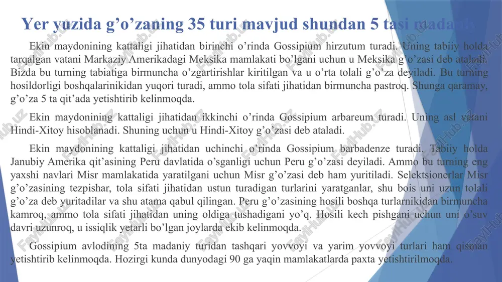 mmolarini tadqiq qilib g'o'za selektsiyasining samaradorligini oshirib, qator o'rta va va ingichka tolali navlarni yaratdilar. bu navlarni amaliyotda qo'llash natijasida sobiq ittifoqda ekilayotgan navlarning o'rniga yuqori samarali navlar ekib almashtirishlar o'tkazildi. mustaqillik davrida nav almashtirish jarayoni samarali amalga oshirilmoqda. 1922 yildan boshlab to hozirga qadar respublikada 6 marta nav almashtirish o'tkazildi. o'zbekistonda g'o'za genetikasi va selektsiyasi dunyo paxtachiligida g‘o‘zaning g.hirsutum l. va g.barbadense l. yovvoyi va yarim yovvoyi turlarning potensiali, shuningdek, geografik jihatdan kelib chiqishi bir-biridan uzoq bo‘lgan shakl va navlarni hamda turlararo duragaylash uslubidan keng foydalanish orqali ijobiy genlar majmuasiga ega bo‘lgan yangi donorlar va manba’lar yaratilmoqda. xorijda asosan, har xil g‘o‘za turlarining seleksion ahamiyatini o‘rganish hamda ulardan kasalliklarga bardoshli va qimmatli xo‘jalik belgilarning ijobiy majmuasiga ega bo‘lgan yangi navlarni yaratish yo‘nalishlarida tadqiqotlar olib borilayotganini ko‘rsatdi [2]. baratova a.r. g‘oza oilasi seleksiyasida qimmatli koprsatgichlar o‘zgaruvchanligi va shakllanishi. journal of innovations in scientific and educational research volume-2, issue-13 (26-december) p.479-481. …