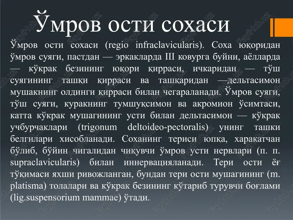 g baland qirrasi (spina scarularis) bu soxani ikkita: qirra usti va qirra osti chuqurchalar (fossa supraspinata et fossa infraspinata) ga bo'ladi. kurak soxasi. deltasimon soxa deltasimon soxa deltasimon soxa – r. deltoideus, bu soxa m. deltoideus joylashgan soxaga to'g'ri keladi. terisi qalin, teri osti yog' kletchatkasi yuqori qismlarida ko'proq joylashgan va katakchali tuzilishga ega. yuza fastsiya uncha yaxshi rivojlanmagan. terisi nn. supraclaviclaris va n. cutaneus brachii lateralis superorlar bilan innervatsiyalanadi.xususiy fastsiyaning yuza va chuqur varaqlari m. deltoideus ga g'ilof xosil qiladi. sulcus deltoidepectoralis soxasida v. cefalica joylashadi. m. deltoideus ostida yog' kletchatka bo'shlig'i bo'lib, u erda n. axillaris va a.v. circumflexa humeri posterior joylashagan. yuqoridagi arteriya a. circumflexa humeri anterior bilan anastomozlar xosil qiladi. deltasimon soxa elka bo'g'imi elka bo'g'imi elka soxasi (regio brachii). tashqi belgilari: deltasimon, ko'krakning katta, orqaning keng, elkaning ikki va uch boshli (sh. m. deltoideus, pectoralis m ajor, latissimus dorsi, biceps brachii) mushaklari xamda elka suyagining …