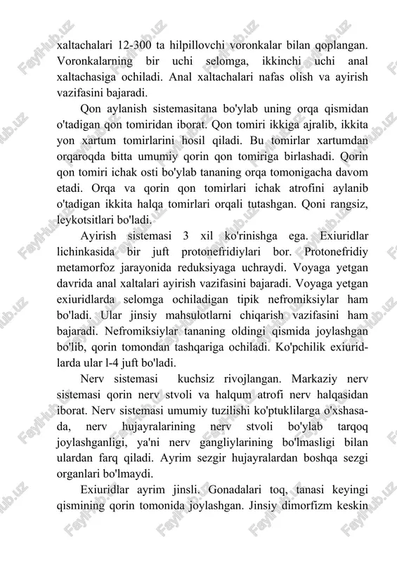 ochi jins rivojlanadi. agar lichinka voyaga yetgan urg'ochisi solingan idishda boqilsa, ular urg'ochisi xartumiga o'tirib olib regressiv metamorfozga uchraydi, ya'ni, tuzilishi soddalashadi va parazit erkagiga aylanadi. lichinkaning erkak bonelliyaga aylanishi urg'ochisi xartumi qoplag'ichi ishlab chiqaradigan moddaga bog'liq. sipunkulidlar (sipunculida) sinfi vakillari dengizlarda suv tubidagi loyni kovlab yoki bo'sh naychalarda va chig'anoqlarda yashaydigan chuvalchangsimon hayvonlar (4-rasm). 4-rasm. sipunkulidlarni tana shakllari (barns). 250 taga yaqin turi ma'lum. sistematik o'rni exiuridlar singari aniq ma'lum emas. voyaga yetgan davrida yoki lichinkalarida ham hech qanday metamer belgilar ko'rinmaydi. ular ham birlamchi halqalashmagan selomik hayvonlar hisoblanadi. sipunkulidlar tanasi ingichkalashgan xartumga va birmuncha keng gavda qismiga bo'linadi. xartumi maxsus muskullar yordamida tanasi ichiga tortilishi yoki chiqarilishi mumkin. og'zi xartumning uchki qismida joylashgan. teri-muskul xaltasi yaxshi rivojlangan. qon aylanish sistemasi bo'lmaydi. ayirish sistemasi nefromiksiyalardan iborat. sipunkulidlar ayrim jinsli. tuxumidan troxofora lichinkasi chiqadi. sipunkulidlar deyarli hamma dengizlarda uchraydi. tanasining o'rtacha uzunligi bir necha santimetr, eng yirik vakili siphonomecus multicinctus …