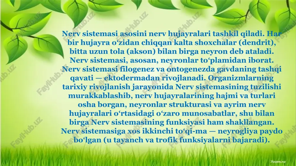 (lot reticulum — toʻr va formatio — tuzilma), toʻrsimon tuzilma — bosh miyaning markazida (uzunchoq va oʻrta miyada, koʻrish doʻmboklarida) joylshagan maxsus tuzilmalar majmui. markaziy nerv sistemasining quyi va yuqori joylashgan sohalari, shu jumladan, katta yarim sharlar poʻstlogʻi qoʻzgʻaluvchanligi va tonusi darajalarini boshqaradi. retikulyar formatsiya hosil qiluvchi neyronlar aksonlarining tuzilishi, uzunligi va kattakichikligiga koʻra turlichadir. ularning tolalari chirmashib ketgan. "retikulyar formatsiya" terminini nemis olimi o.deyters kiritgan, u retikulyar formatsiyaning fakat morfologik xususiyatlarini ifodalaydi. retikulyar formatsiya orqa miya, miyacha, limbik sistema va bosh miya katta yarim sharlari poʻstlogʻi bilan morfologik va funksional jihatdan bogʻlangan. retikulyar formatsiya sohasida unga kelayotgan afferent va efferent impulsi oʻzaro taʼsir koʻrsatadi. natijada retikulyar formatsiya neyronlari muayyan qoʻzgʻalgan holatda boʻladi. bu esa markaziy nerv sistemasini tashqi muhitdan kelayotgan impulyelarni qabul qilishga tayyorlab turadi. retikulyar formatsiya markaziy nerv sistemasining turli sohalariga pastga va yuqoriga yoʻnaluvchi taʼsir koʻrsatadi. bu taʼsirlar, oʻz biologik mohiyatiga koʻra, tormozlovchi yoki qoʻzgʻatuvchi xususiyatga ega. …
