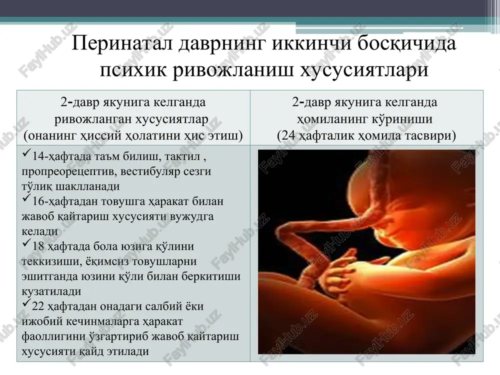 perinatal va chaqaloqlik davrlarida psixofiziologik xususiyatlar - Page 4
