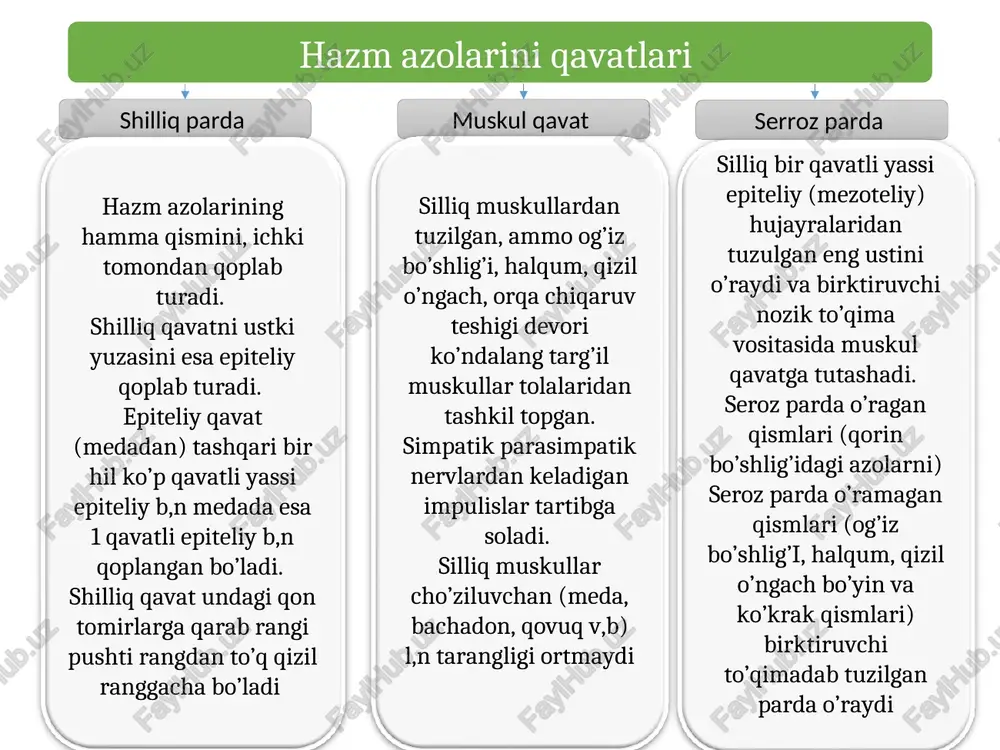 islotali muhitda tasirini yo’qatadi ovqat haqidagi malumot uzunchoq miyadagi markazni qo’zg’atadi. odam so’zlash paydo bo’lgani bilan, mayda bezlar ishlay boshlagan. ular og’iz bo’shlig’ini namlab turadi, ravon gapirish mumkin aks holda gapirish u,n qo’shimcha suv b,n namlash kerak yutish ovqat luqmasi og’izda, mexanik va kimyoviy parchalanib til ildizga yo’naltiradi, luqma yumshoq tanglayga kirishi b,n yutish sodir bo’ladi, bu paytda yumshoq tanglay ko’tarilib xoanani yopadi halqumga va qizil o’ngachga yo’naladi. qizil o’ngach to’lqinsimon harakatlanib, medaga suradi, agar suyq 2-3 sek, quyuq 6-8 sek davomida bajariladi burn qismi eng tepa qismi b/b burn bo’shlig’iga 1 juft xoana orqali qo’shilib ketgan. yumshoq tanglay roparasida eshituv (yevstaxiy) nayi boshlanadi. og’iz qismi tomoq orqali og’iz bo’shlig’iga tutashadi. bu qism ham havo va ovqat o’radigan qism bo’lganligidan yumshoq tanglay tartibga solib turadi. xiqildoq qismi kalta b/b, hiqildoqning orqa tomonida joylashgan. bu qism qizil o’ngacha tutashib ketadi. halqum-varonkaga o’xshash kalla suyagi tubidan boshlab, og’iz va burn bo’shlig’iga ochilib …