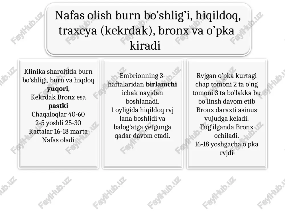 aydi. normada qonda 15 gr gemaglabin b/b har bir gram 1,34 ml o2ni brktradi kesson kasalligi qonda azot erishi kuchaydi suv ostida bo’lishi m.n gipoksiya o2 kamayadi yuqorida samalyotlarda (asfiksiya) zaxarlanish suvga cho’kish odam bo’g’iladi tok urgandan narkozda havo olish to’xtab qoladi yurak ishlayotgan bo’lsa suniy nafas beriladi. himoya refeleksi yo’tal aksirish hiqldoq traxeya shilliq pardasidagi yot zarrachalar yopishib nerv markazi qtqlanadi. yo’tal zarbi yot zarrachalarni chiqarib yuboradi