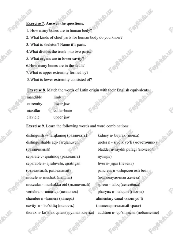 all of the abdominal cavity. because the ribs are articulated to the spine, the rib cage, despite its rigidity, is capable of expansion, which is necessary for breathing. exercise 12 answer the questions 1.what do the extremities enable? 2. how are the bones of the skeleton classified? 3. what are the main components of the skeletal system? 4.what is the rib cage made of? image1.png