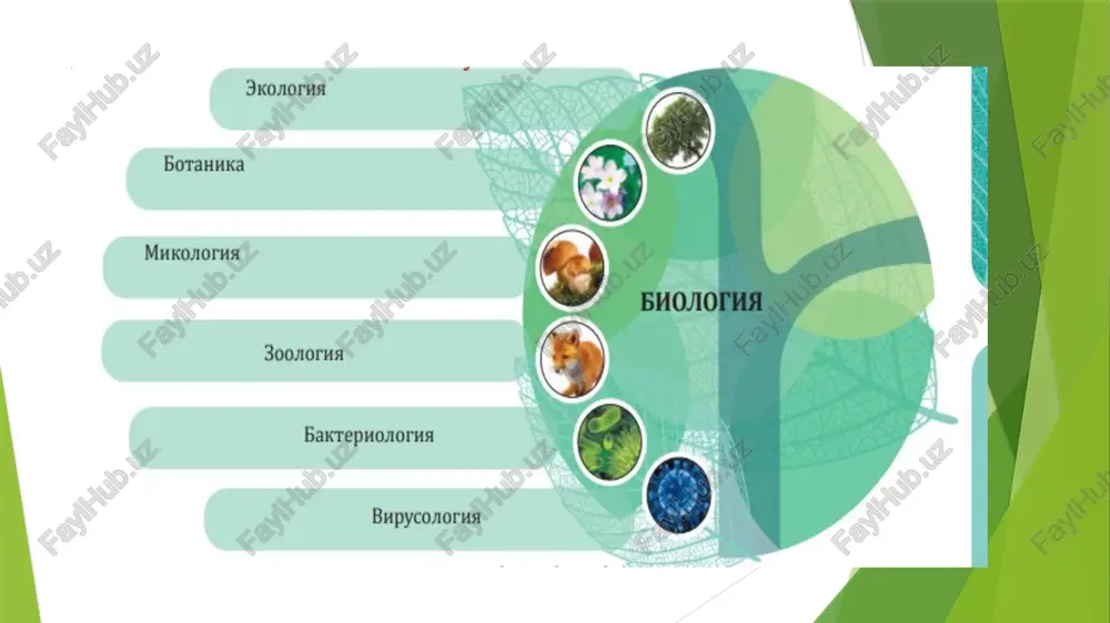 biologiya – hayot haqidagi fan - Page 4