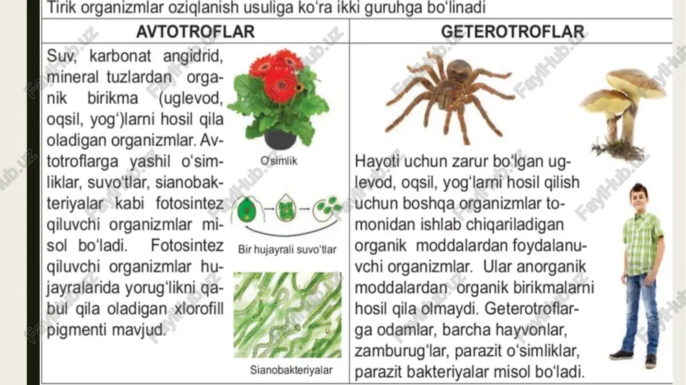 tirik organizmlarning oziqlanishi - Page 4