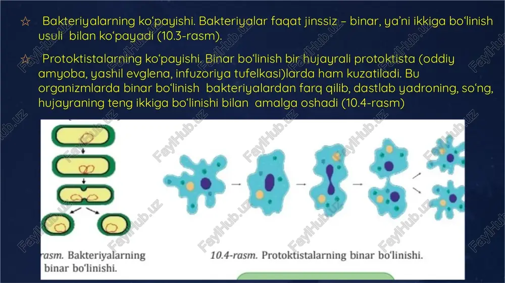 ko‘payishning mohiyati nimadan iborat? 3. jinsiy ko‘payish qanday biologik ahamiyatga ega? 4. gulli o‘simliklarning jinsiy ko‘payishi qanday amalga oshadi? 5. urug‘lanish qanday sodir boʻladi? zoho show zagruzite zoho show iz play store https://zoho.to/cy7 dlya sozdaniya privlekatelnix prezentatsiy prezentatsiya bez nazvaniya.pdf (etot fayl pdf sgenerirovan v zoho show)