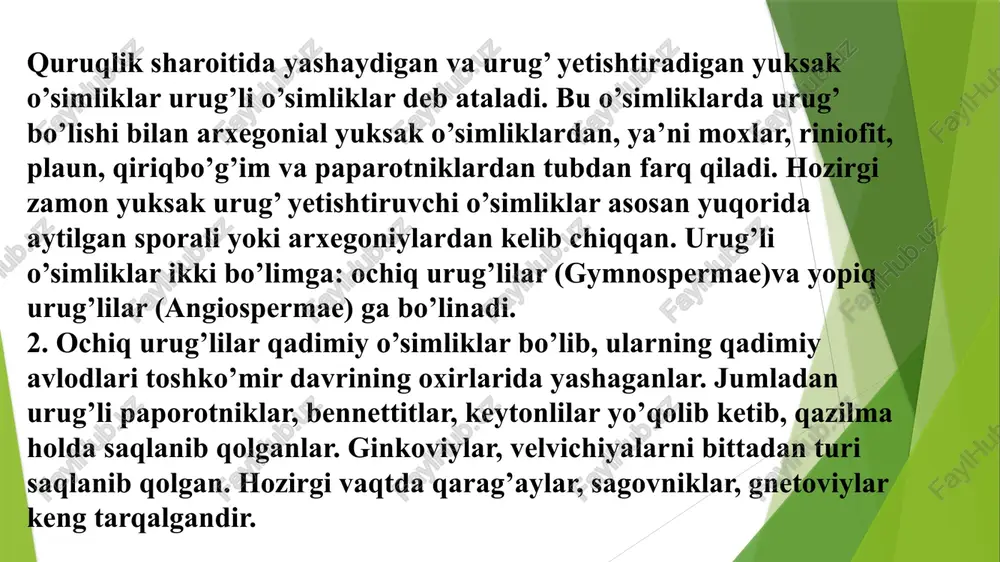 i ko`pincha dixotomik shoxlanar edi. poya o`zak qismining juda rivojlangan bo`lishi va kambiy xalqasi yordamida ikkilamchi tartibda qalinlasha olgani bilan ajralib turadi. ikkilamchi yog`och, hozirgi ochiq urug`lilardagiga o`xshash, traxeidlardan tuzilgan, po`stlog`i ancha qalin bo`lgan. liginoptenis mikro-makrosporalar xosil qilgan. sagovniklar. sagovniklar hozir yashab turgan o`simliklar bo`lib, eski (cycas, macrozamia, bowenia, encephalarthos, stangeria kabi avlodlar) va yangi dunyoning (zamia,microcycas, ceratoramia, pioon avlodlari) tropik hamda subtropik mintaqalarida tarqalgan 9 ta avlodi o`z ichiga oladi. sagovniklar - ustunsimon oddiypoyali daraxtlardan; poyasi axayon - axyonda shoxlangan bo`ladi. poyasining uchida juda yirik, patsimon qalin-qattiq barglar tojdek bo`lib turadi. mikrosporangiylari tangachasimon mikrosporofillarning chetida turadi yoki tangachasimon makrosporofillardan joy olgan, mikrosporofillari to`p-to`p bo`lib, otalik qubbalarini hosil qiladi. makrosporangiylar (urug`kurtaklar) makrosporofillarning chetida turadi yoki tangachasimon mikrosporofillardan hosil bo`lgan onalik qubbalaridan joy oladi. bu tartib cucas (yoki sagovnik) misol bo`la oladi. barcha ochiq urug`liklar singari, cucas har xil sporali o`simlik bo`lib, makro- va mikrosporalar bilan ko`payadi. ko`pchilik sagovniklar cucas ga …