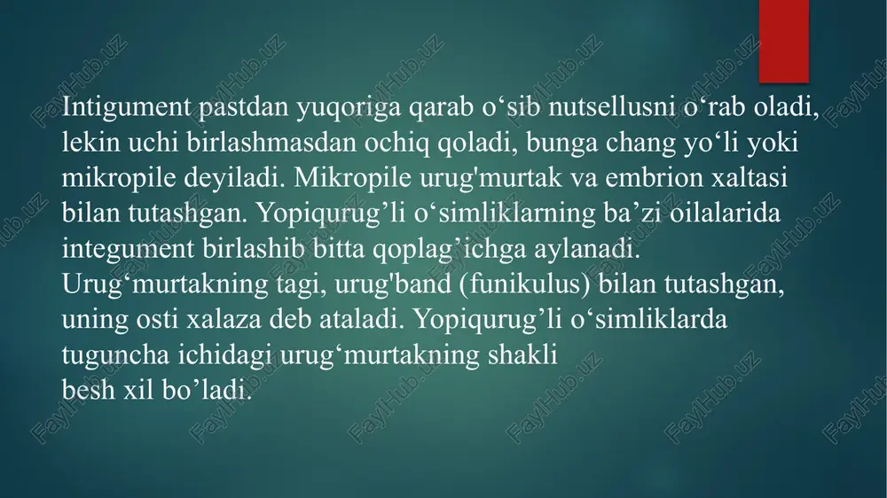 megasporogenez va urug‘chi gametofit - Page 4