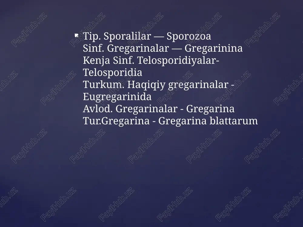 keyin ikkita gregarinaning tanasi yumaloqlanib, umumiy qalin qobiqqa o'raladi va sistaga aylanadi. sista ichida gregarinalar qo’shilmaydi, har bir gregarinaning yadrosi ko’p marta mitoz yo’li bilan bo’linib, ulardan makro va mikro gametalar hosil bo’ladi. gametalar qo’shilib zigota hosil qiladi. zigota qalin qobiqqa o’raladi va oosistaga aylanadi. buni ko’pincha spora deb atashadi. oosistalar hasharot najasi bilan tashqi muhitga chiqadi. keyin oosistalarda sporozoitlar hosil bomadi. ana shunday oosistalar (sporalar) xo’jayin tomonidan oziqa bilan yutinganda oosistaning qobig’i erib, undagi sporozoitlar ichak epiteliy hujayralariga kirib rivojlanishini davom ettiradi va yirik (epimeritli, protomeritli va deytomeritli) gregarinaga aylanadi. demak, gregarinalaming rivojlanish davrida gameta hosil qilish (gametogoniya) va oosista hosil qilish (sporogoniya) jarayonlari almashinib turadi. e’tiboringiz uchun rahmat …… image2.png image3.png /docprops/thumbnail.jpeg