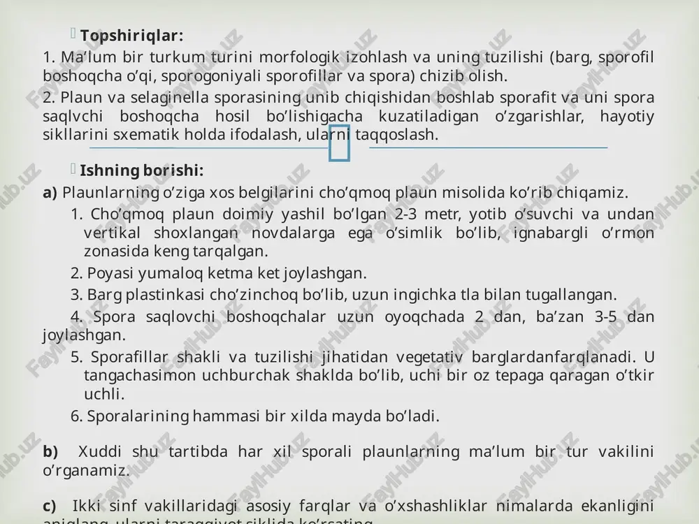 g?  e’tiboringiz uchun rahmat.  image3.png image4.jpeg image5.jpeg image6.jpeg image7.jpeg image8.jpeg image9.jpeg /docprops/thumbnail.jpeg