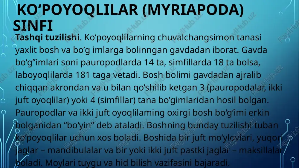 v zanjiri boshda joylashgan halqumosti hamda uzun qator boiib joylashgan qorin gangliylaridan iborat. halqumosti gangliysidan og’iz organlariga nervlar chiqadi. qorin nerv gangliylari har bir bo‘g‘imda bir juftdan bo‘ladi. gangliylardan organlarga nervlar chiqadi ikkijuftoyoqlilarning oldingi tana bo’gimlarida bir juft, qolgan bo’g’imlarida ikki juftdan nerv gangliylari bo’ladi. sezgi organlari tuyg‘u, hid bilish va ko‘rishdan iborat. tuyg‘u va hid bilish fimksiyasini antennalar bajaradi. antennalar sezgir tukchalar va qadoqchalar bilan ta’minlangan. ko’pchilik ko‘poyoqlilar boshi ikki yonida mo‘ylovlari asosida temeshvar organlari joylashgan. bu organlar nerv xujayralari bilan ta’minlangan chukurchalar yoki sezuvchi xujayralar to’plamidan hosil boigan pushtachalardan iborat. temeshvar organlar xemoretseptorlar hisoblanadi. ko‘poyoqlilarning ko‘zlari turli darajada rivojlangan. ko‘pchilik turlarida 2,4 yoki undan ko‘proq oddiy ko‘zchalai boshi ikki yonida, ya’ni antennalar asosida joylashgan. kostyankalar kozlari siyrak joylashgan ko‘p sonli ommatidlardan iborat. nihoyat ayrim ko‘poyoqlilar (pashshatutarlar)da haqiqiy fasetkali ko‘zlar bo‘ladi. jinsiy sistemasi. ko’poyoqlilar- ayrim jinsli. ko‘pchilik turlarining jinsiy bezlari toq, tuban tuzilgan ayrim vakillari (pauropadalar)da juft bo’ladi. jinsiy …