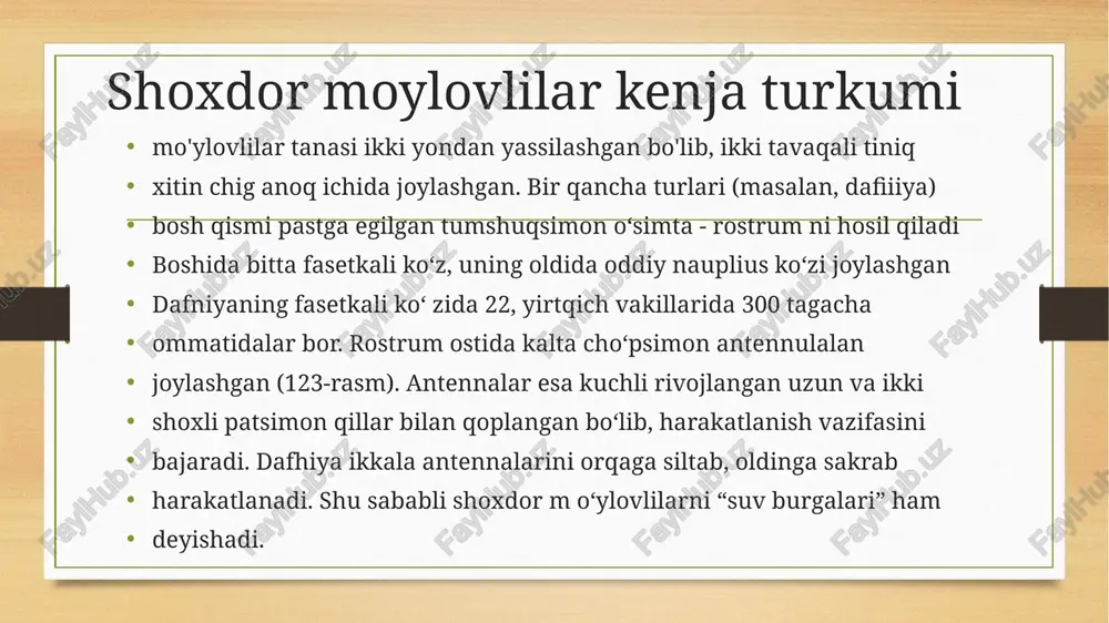 jabraoyoqli qisqihbaqasimonlar - Page 4