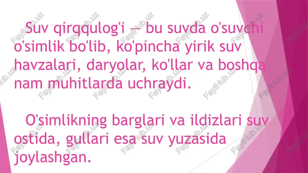 suvqirqqulog'i - Page 4