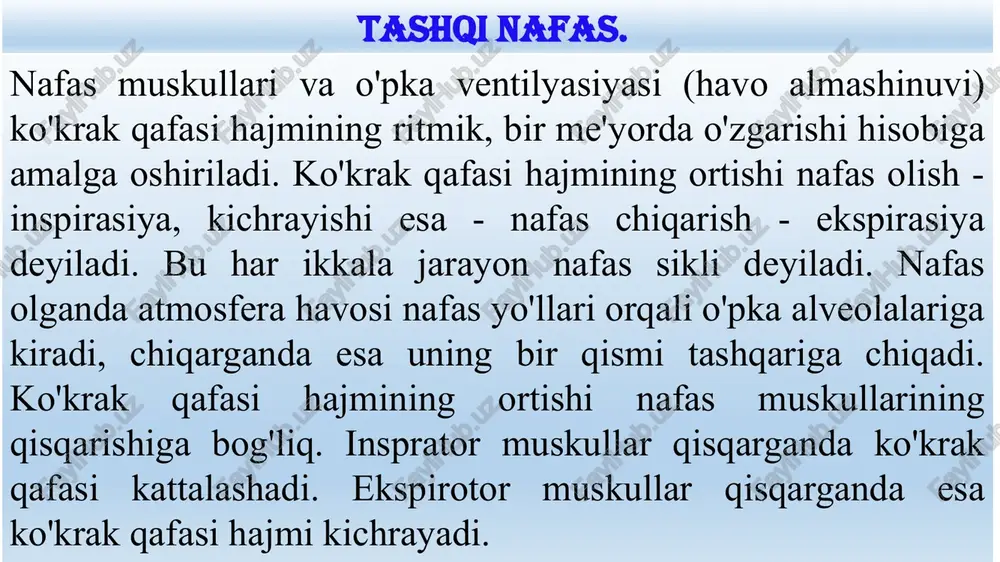 chuqurligi va miqdoriga bog'liq. katta yoshdagi odam tinch turganida minutiga 16-20 marta nafas oladi. insonda nafas olish nafas chiqarishga qaraganda qisqaroq bo'lib: 1 : 1,3 nisbatni tashkil qiladi. o'pka ventilyasiyasini keng tarqalgan va ko'proq ma'lumot beradigan ko'rsatkichi - o'pkaning minutlik hajmi bo'lib, erkaklarda tinch turganda 6 -10 l/min ni tashkil qiladi va jismoniy ish bajarganda bu ko'rsatkich 30 dan 100 l/min gacha ortishi mumkin. nafas olganda atmosfera havosi alveolalarga bosimlar farqi hisobiga konvektsiya yo'li bilan kiradi. inson o'pkasi - bronxlari, traxeyadan alveolalargacha 23 marta bo'linadi. buning natijasida ularning ko'ndalang kesimi yuzasi 4500 marta ortadi. bu esa alveolalardan kichik qon aylanishi doirasi tomirlariga gazlarning diffuziyayo'li bilan o'tishiga qulaylik yaratadi. odam atmosfera havosidan nafas oladi, uning tarkibida 20,94% o2, 0,03% co2, 79,03% azot bor. nafas chiqargandagi havo tarkibida 16% o2, 4,5% co2, 79,5% azot bor. alveolyar havoda 14% o2, 55% co2, 80,5% azot bor. nafas olgandagi, chiqargandagi va alveolyar havolarning tarkibi. 5. …